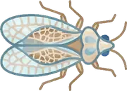 Dantel Böceği hizmetini temsil eden görsel