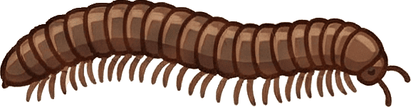 Kırk Ayak hizmetini temsil eden görsel