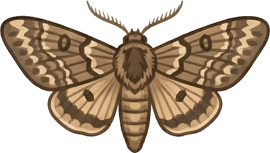 Güve hizmetini temsil eden görsel