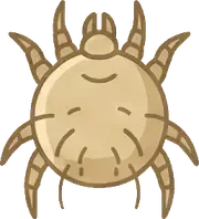 Uyuz hizmetini temsil eden görsel