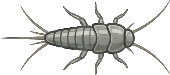 Gümüşcün Böceği hizmetini temsil eden görsel