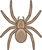 Örümcek hizmetini temsil eden görsel