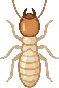 Termit hizmetini temsil eden görsel